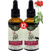 2x PELARGONIA AFRYKAŃSKA WYCIĄG 50ml wsparcie: ODPORNOŚĆ U.ODDECHOWY NANGA
