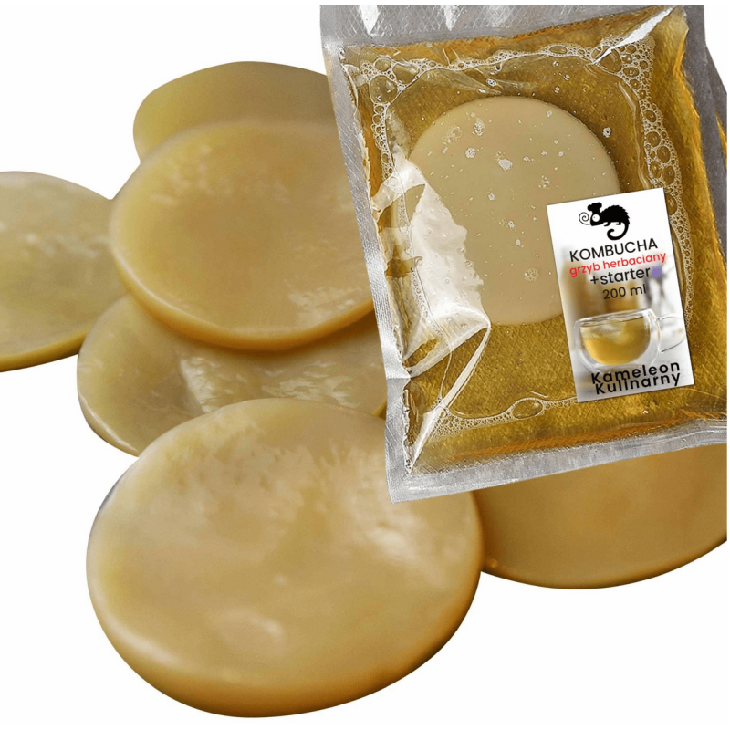 GRZYBEK HERBACIANY GRZYB 6cm KOMBUCHA + starter 200ml + ulotka instrukcja