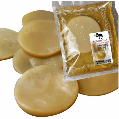 GRZYBEK HERBACIANY GRZYB 6cm KOMBUCHA + starter 200ml + ulotka instrukcja