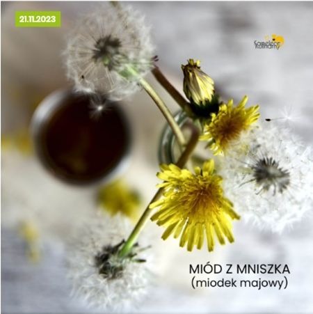 Lorem ipsum dolor sit amet, consectetur  adipiscing elit. Ut convallis vehicula augue